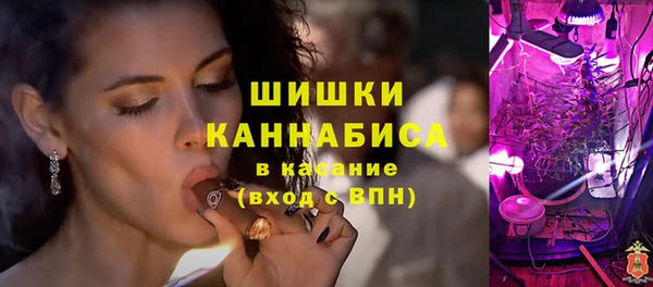бошки Мегион