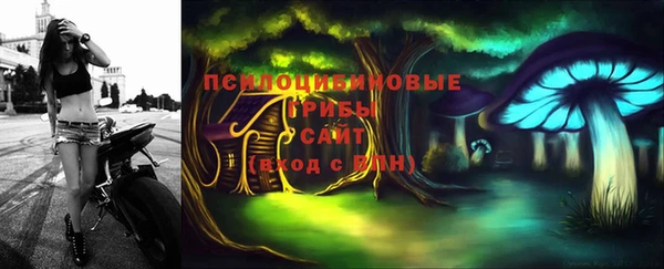 бошки Мегион