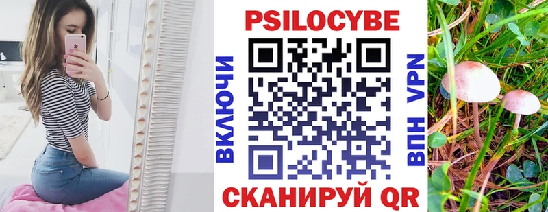 Галлюциногенные грибы GOLDEN TEACHER  Лаишево 
