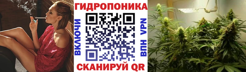 купить  сайты  Лаишево  Конопля OG Kush 